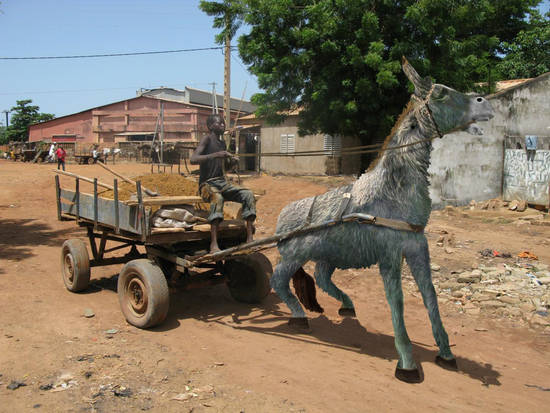 Donkey Cart