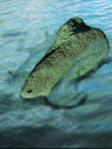 crocodile