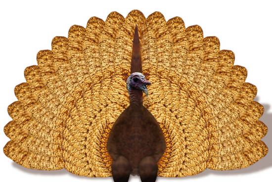 Gobbler