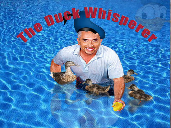 The Duck Whisperer