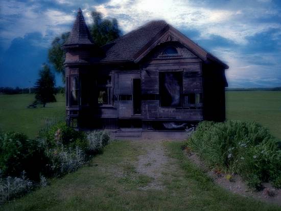 Abandoned infested house