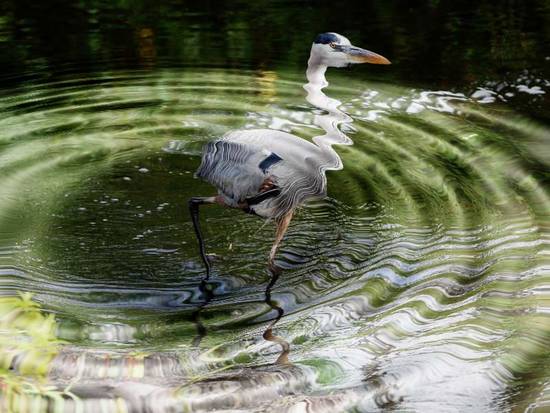 Reflection