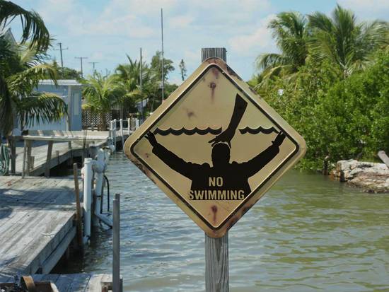 I Said NO SWIMMING!