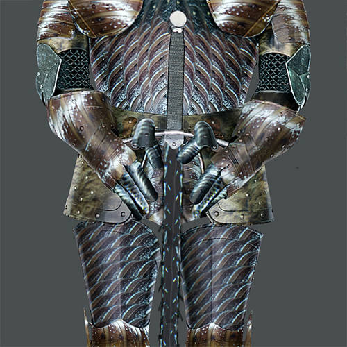 hissing cockroach armor