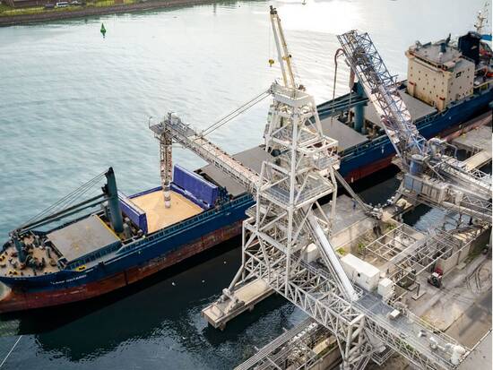 Loading grain