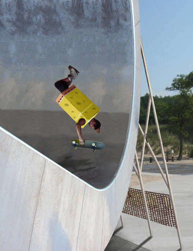 Skate Park Box Pants