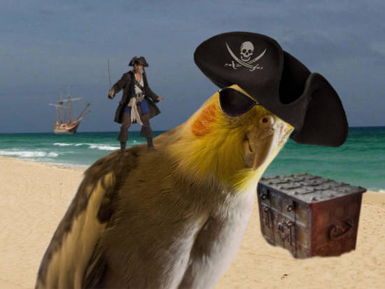 Argh Mateys!