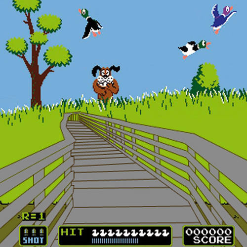 Duck Hunt