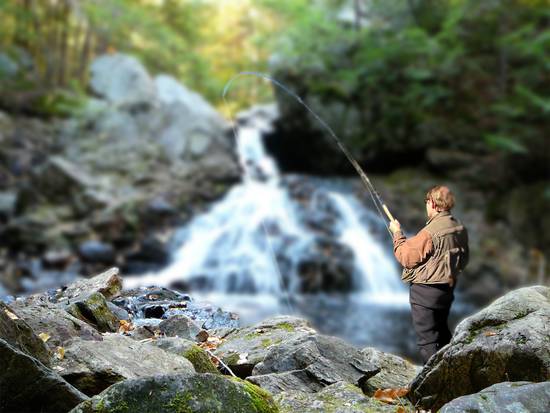 Fly Fishing