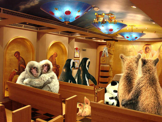 Noah's Ark