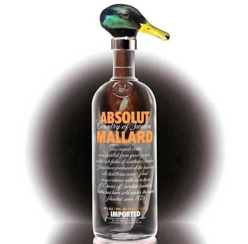 Absolut Mallard