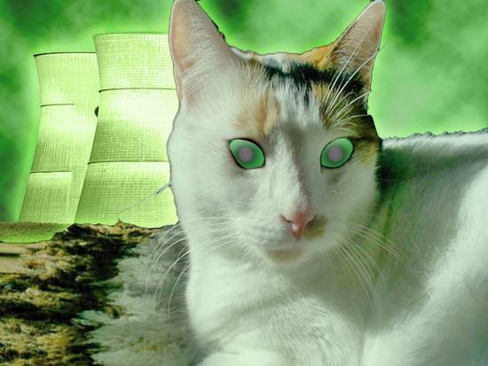 Radioactive Kitty