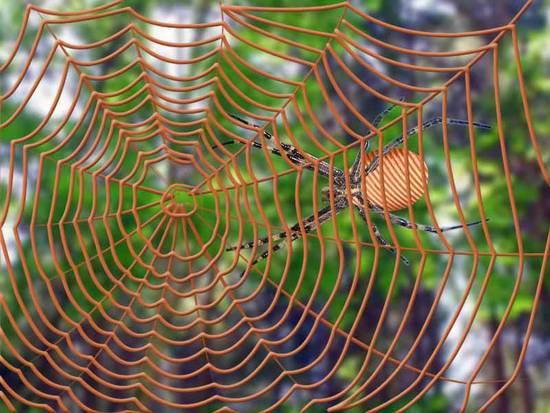 copper net