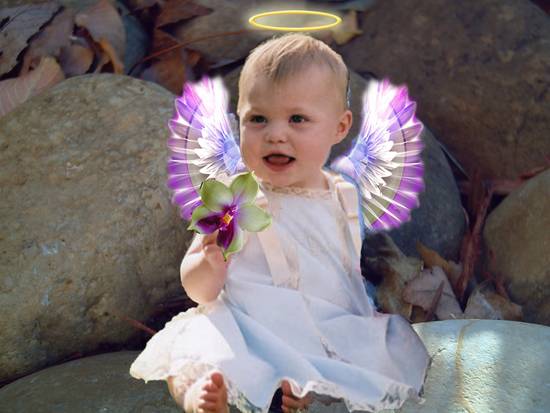 Little Angel