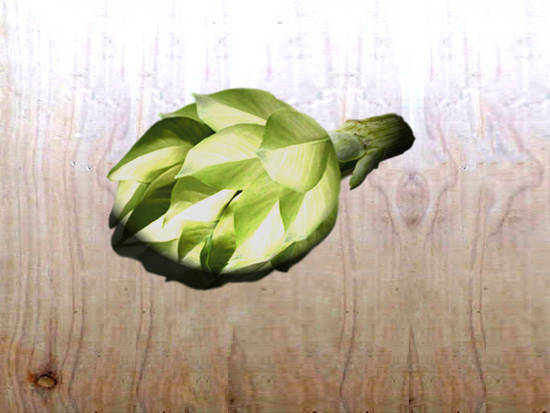 Yummy artichoke