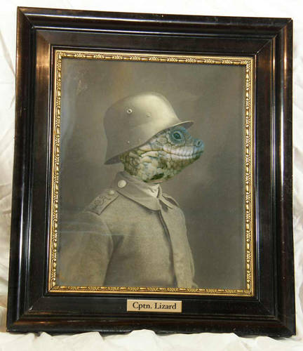 Captain Lizard