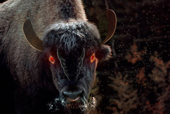 Evil Bison