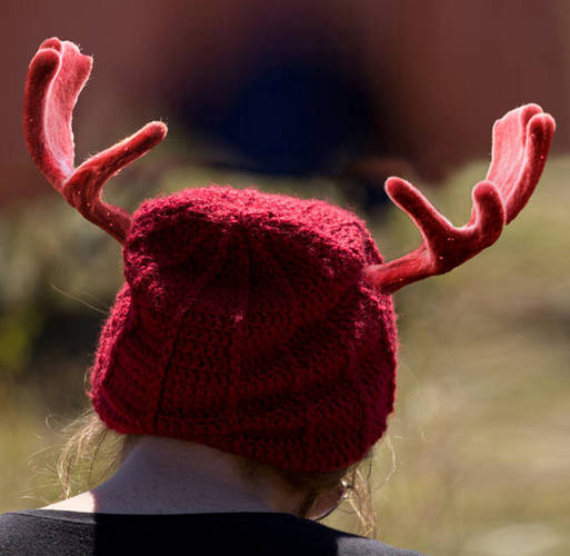 Red Antlers