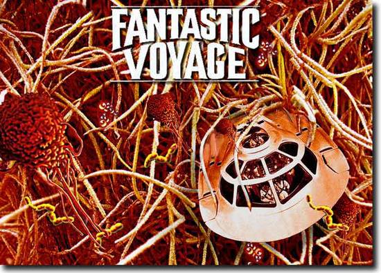 FANTASTIC VOYAGE