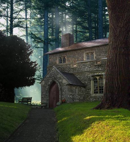 A House In Woods