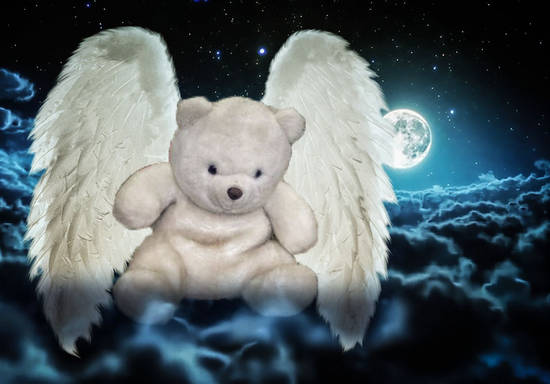 Bearly An Angel