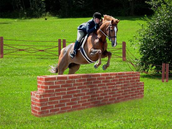 horse jumping