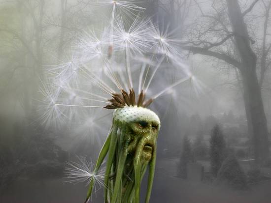 mutated dandelion