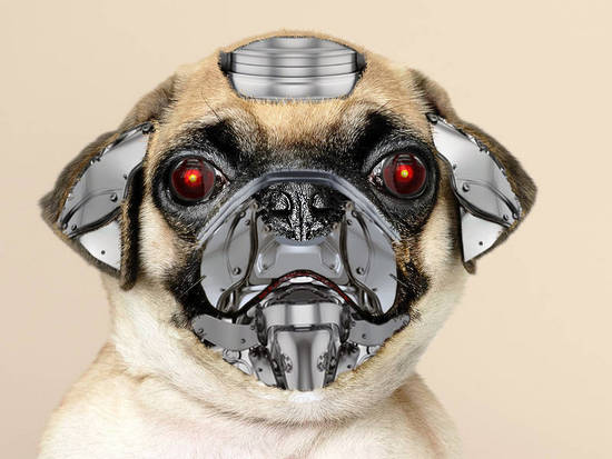 Dog robot