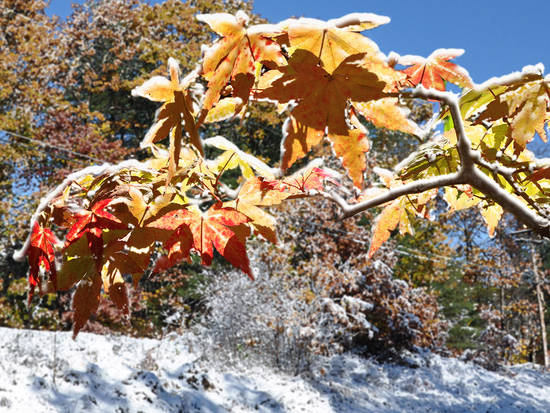 First Snow