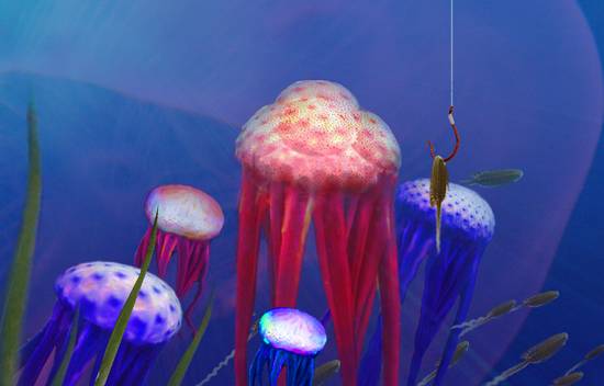 Jellyfishing