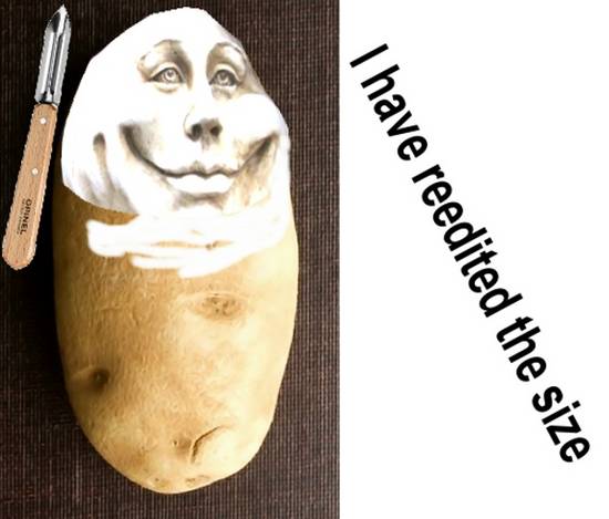 Mister Potato