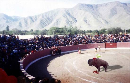 Bison ring