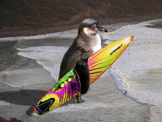 Giant Penguin Surf Dude