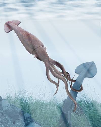 Squid Memorial