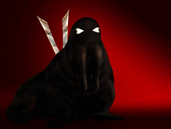 NINJA WALRUS