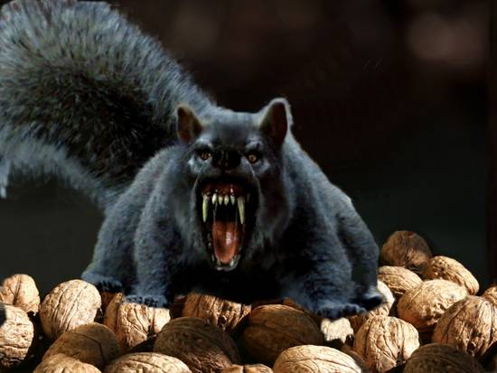 Get away from my nuts