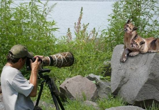 Wildlife photography