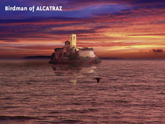 alcatraz