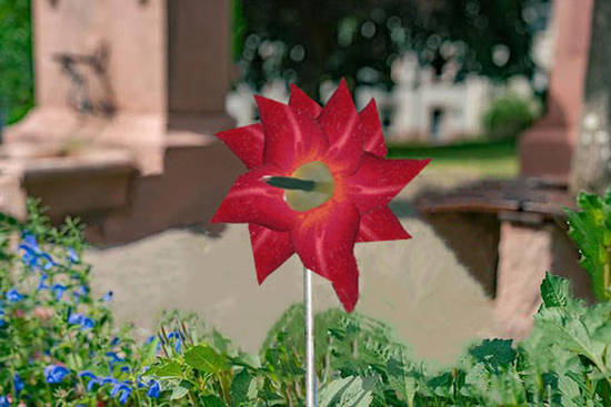 Ventilador de La Flor 