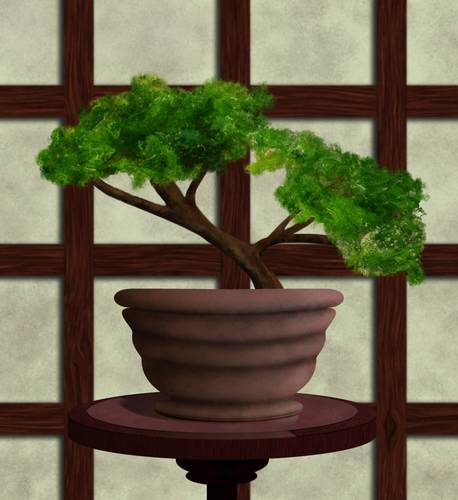 Bonsai [small  update]