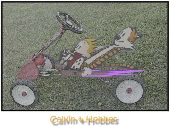 Calvin & Hobbes