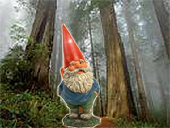 Gnome Stroll