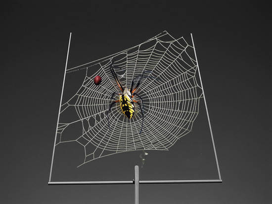 Football Spider