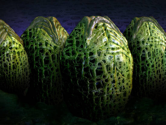 Alien Eggs