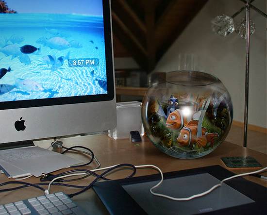 My desk, with a new tank