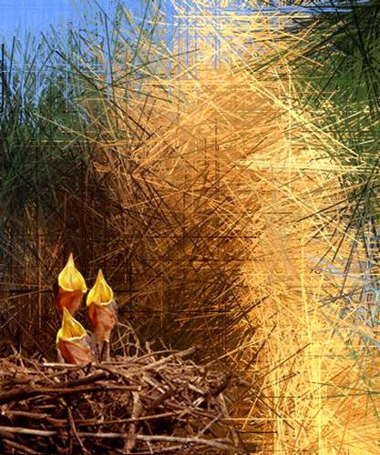 Hatchlings in the Reeds