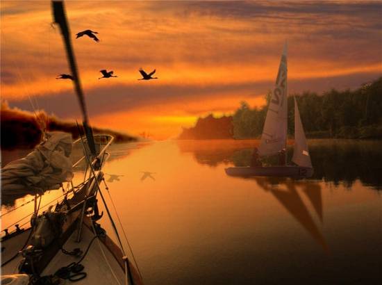 Evening Sailing