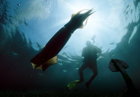 SQUID AT ANCHOR POINT