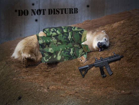 army bear