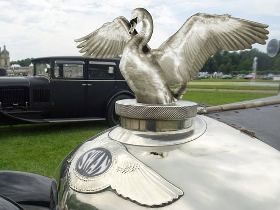 Swan car